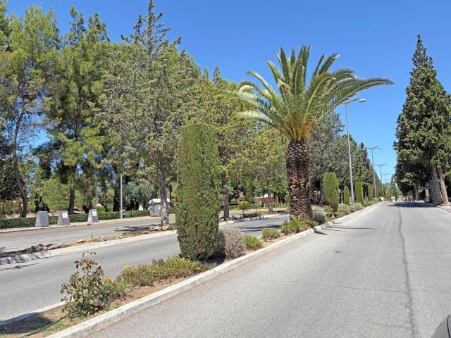 ¡JARDÍN PRIVADO, PISCINA Y TODO LO QUE NECESITAS PARA DISFRUTAR! ☀️