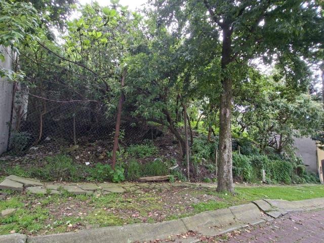 Jardines en la Monta?a, dos terrenos juntos