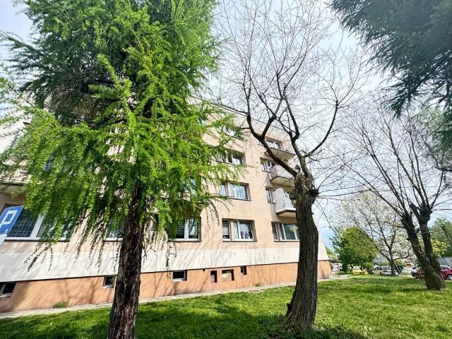 Jasne przestronne dwa pokoje Orłowiec Rydułtowy