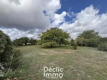Jaulnay 37120 Achat / Vente maison 7 pièces t7