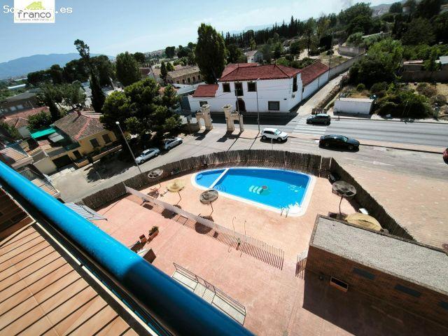 JAVALI VIEJO CON PISCINA
