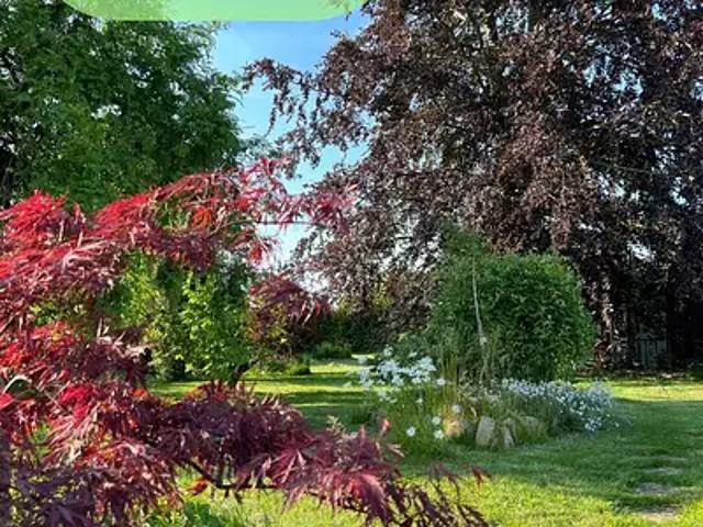 Jeandelize 54800 Achat / Vente maison 10 pièces t10 parking
