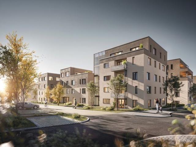 Hier beginnt Ihr neues Zuhause – Rohbaubesichtigung jeden Samstag von 11 bis 12 Uhr
