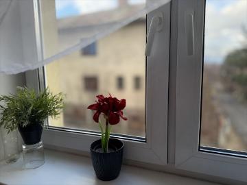 Przestronny dom z dwoma mieszkaniami, garażami i pomieszczeniami