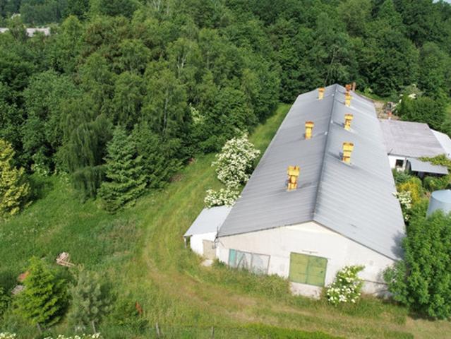 Jelenia Góra, Goduszyn