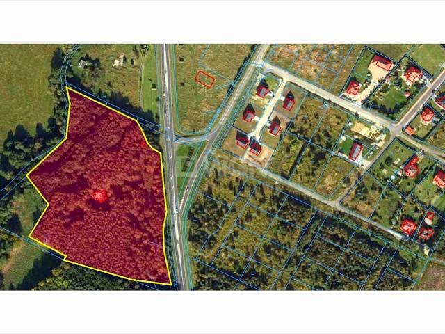 Przestronny dom 330 m² na 3 ha z stawem i lasem
