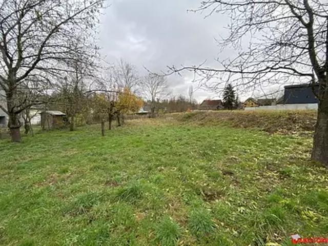 Jettingen 68130 Achat / Vente maison 5 pièces t5