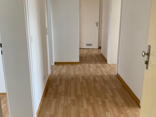 Jetzt Gesuch anlegen