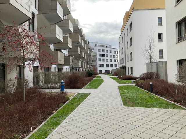 Jetzt Gesuch anlegen