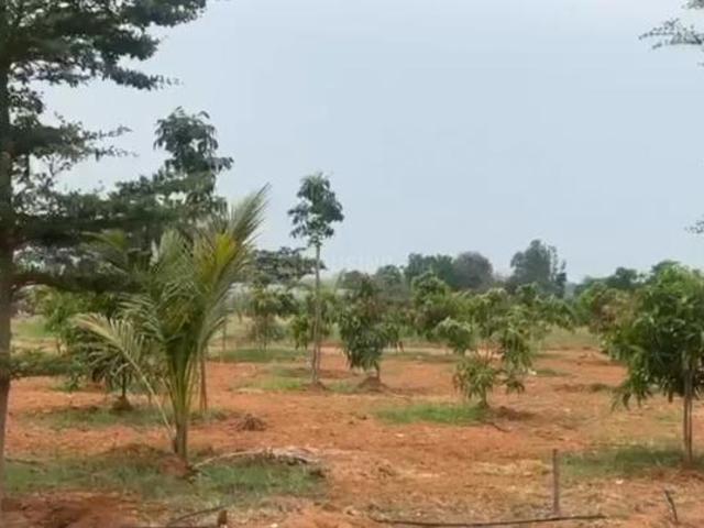 Jinnaram Residential Plot For Sale Sangareddy