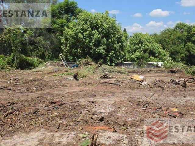 Jiquilpan Terreno CLAVE TT635