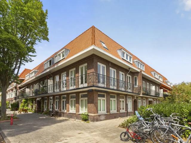 Johannes van der Waalsstraat 53 1