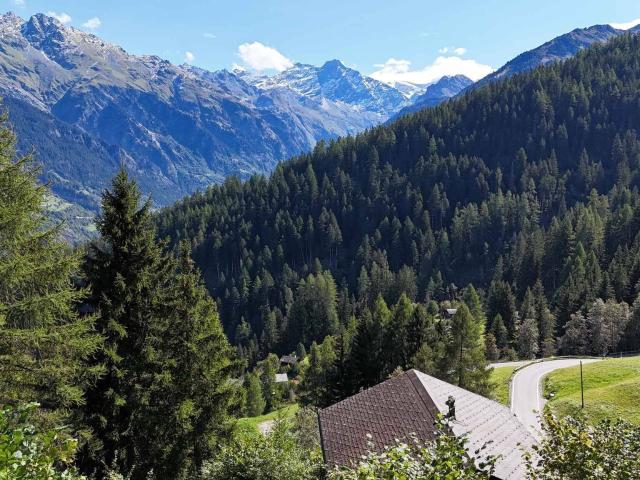 Chalet with 3.5 rooms on sale in Bruson 55 m² | dreamo. Ch