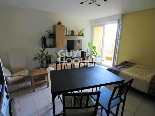 Joli Appartement T1 Meublé, calme, jardin privatif arboré
