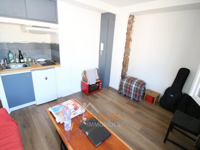 Joli studio 15m² à Strasbourg Quai Mullenheim Magnifique 2 pièces 42.3m² en hyper centre de Strasbourg