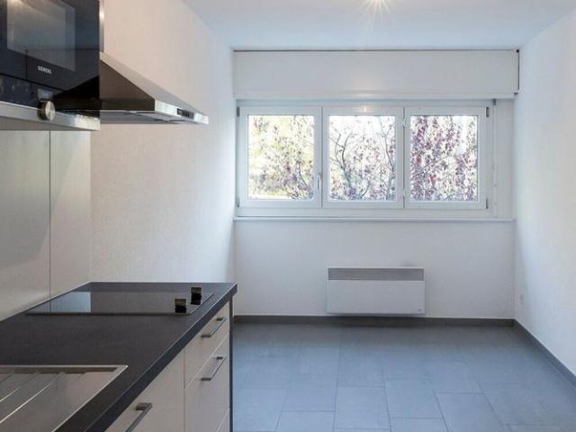 Studio entièrement rénové à louer à Fribourg !