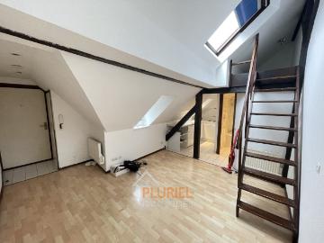 Joli 1 pièce 18m² à la Krutenau Magnifique 2 pièces 43m² meublé à l’Orangerie Exceptionnel maison meublée 164.5m² à la Robertsau