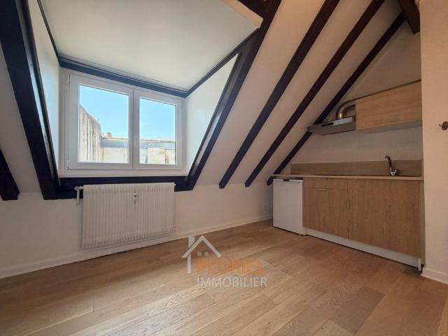 Joli 2 pièces 33m² sur les Quais à STRASBOURG