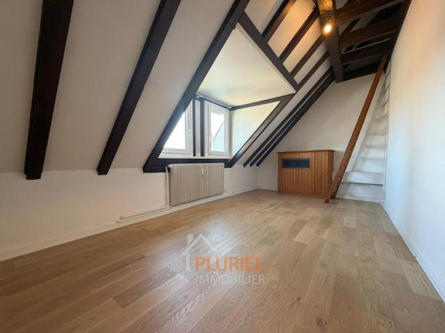 Joli 2 pièces 33m² sur les Quais à STRASBOURG