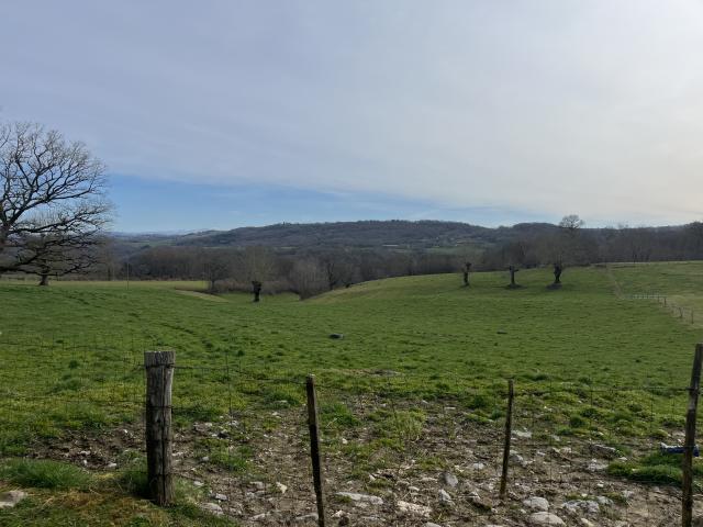 JOLIE GRANGE AVEC 1HECTARE DE TERRAIN