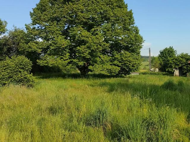 Jolie maison en pierre avec sa grange et son terrain