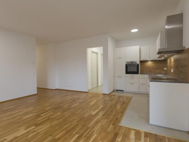 Josef Reichl Gasse 4 Zimmer Neubau mit Balkon in Zentrumslage