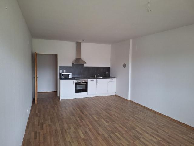 Josef Reichl Straße 13a/2/12a