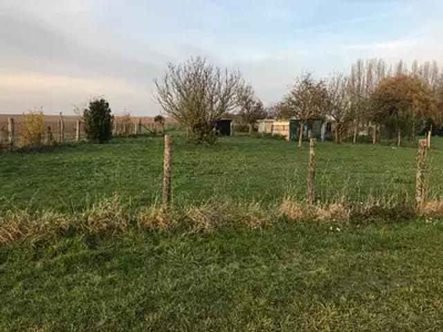 Jouy sur Morin 77320 Programme neuf maison neuf à vendre 6 pièces