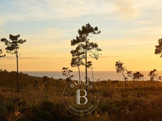 Junto à praia 315m² Melides
