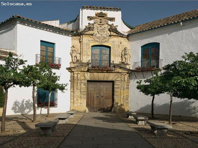 JUNTO AL PALACIO DE VIANA