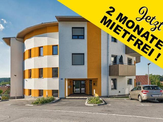 Junges Wohnen in Hoheneich