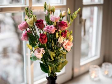 Schrötteringksweg, Uhlenhorst, Hamburg, Johannes-Prassek-Park