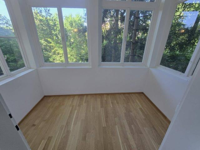 Jugendstil Juwel im Wiener Altbau mit Kaminanschluss + Unter Sankt Veit U BAHN + 3 Zimmer + VERANDA 5,33m²
