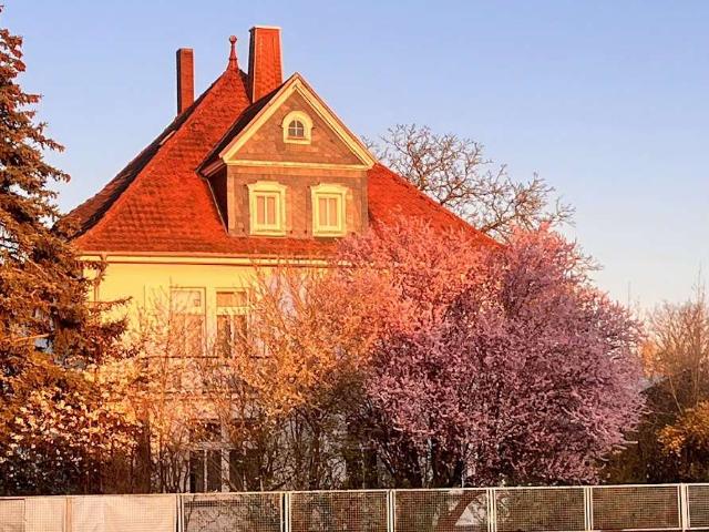 Jugendstilhaus von 1913 in zentraler Lage mit großem Garten
