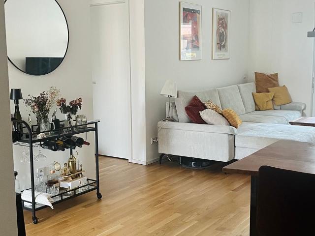 July Sept Sublet 86sqm fully furnished apartment with balcony, Frankfurt Amsterdam Apartments for Rent