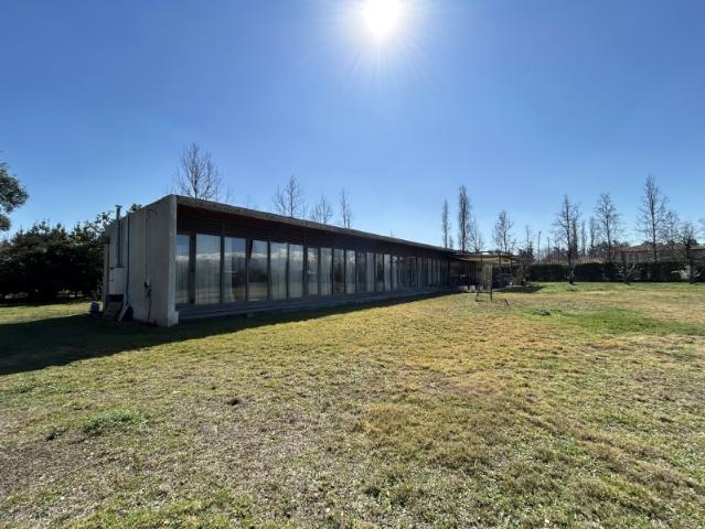 JULIO PHILIPPI IZQUIERDO, CHICUREO PONIENTE