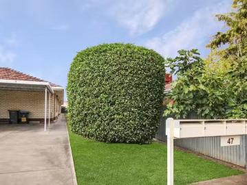Unique 1/47 Edward Street, Daw Park, SA 5041