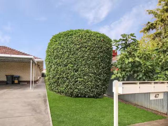 For Rent! 1/47 Edward Street, Daw Park, SA 5041