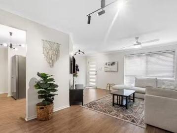 Cheap 149 Edwards Street, Flinders View, QLD 4305