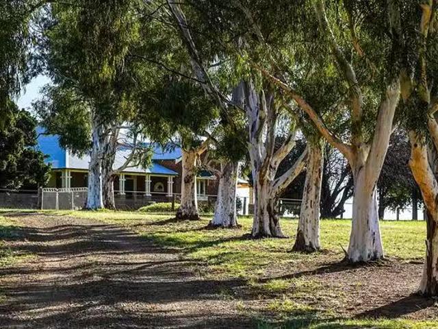 New 1549 The Escort Way, Borenore, NSW 2800