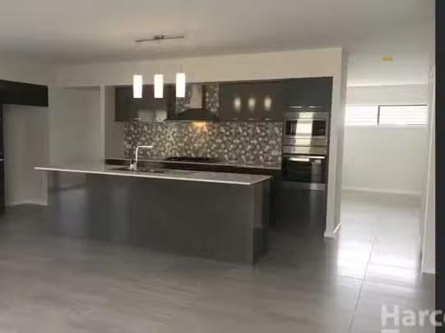 Deal! 16 Boltwood Way, Thrumster, NSW 2444 House for Rent