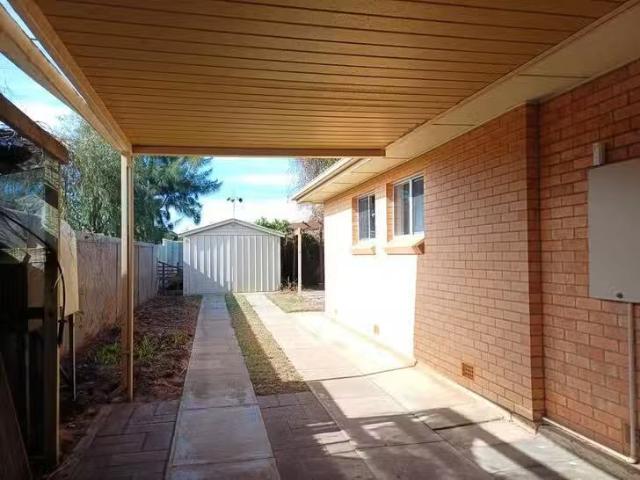 New 17 Shelley Avenue, North Plympton, SA 5037