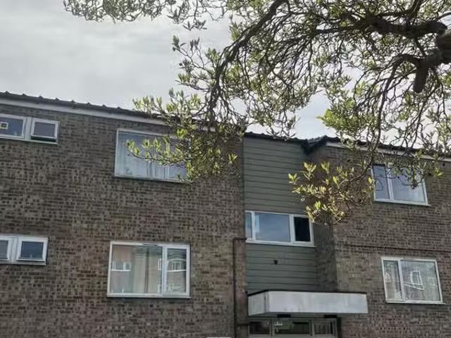 Rental! 1 BA 3 bedroom flat for rent in Buffett Way, Colcheste.
