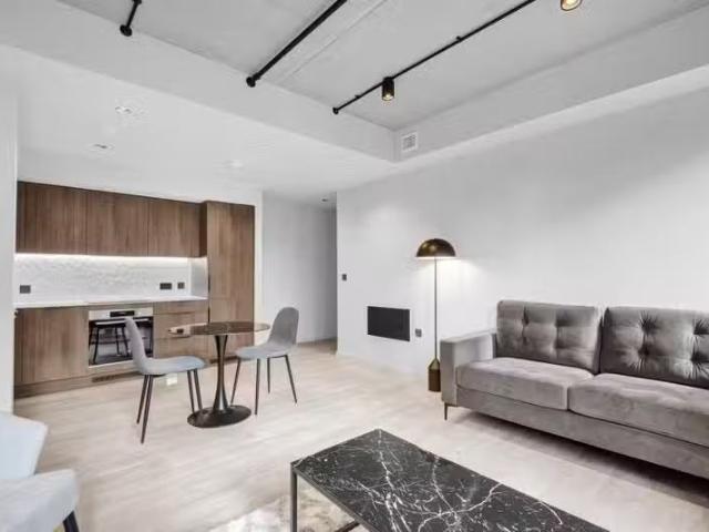Cheap 1 BA 1 bedroom apartment for rent in SETL, Ludgate Hill.