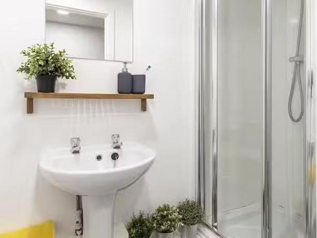 Unique 1 Room Edward St S3 1 Bedroom, 1 Bathroom