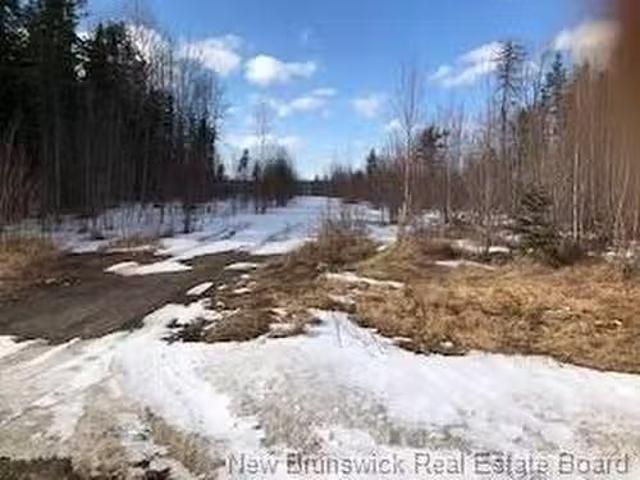 Nice 2967 Main St, Salisbury, NB, E1G 4N3 vacant land for sa.