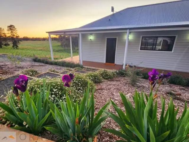 Deal! 2 BR 167 Carbine Road, Orange House for rent Listed by.