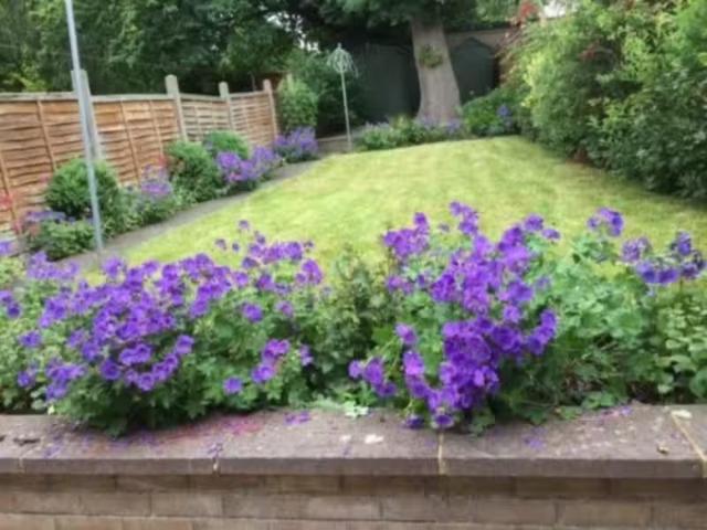Nice 3 bedroom terraced house for rent in Hazel Grove, Hatfiel.