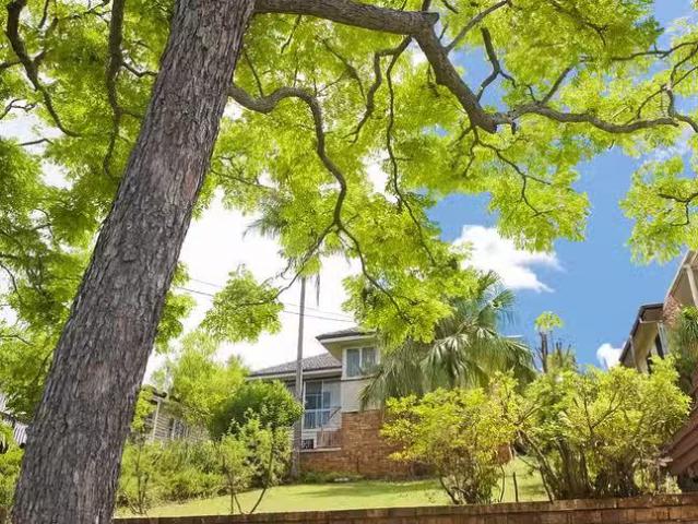Cheap 3 BR 20 La Monte Street, Moorooka, QLD 4105