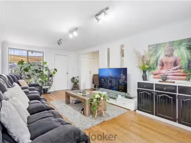 Cozy 45 Old Belmont Road, Belmont North House for rent Listed.
